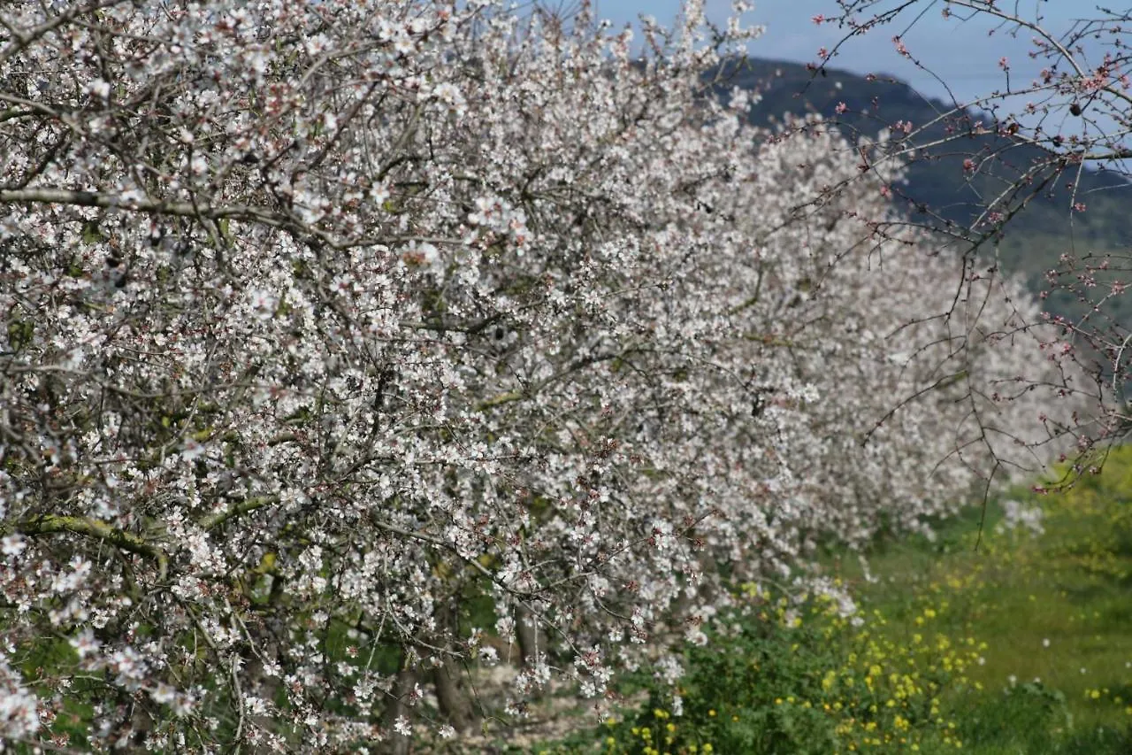 034 Finca Ballester Etv5242 By Mallorca Charme 산타 마르갈리다 스페인
